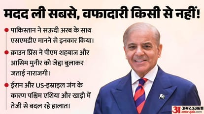शहबाज शरीफ, पाकिस्तानी प्रधानमंत्री