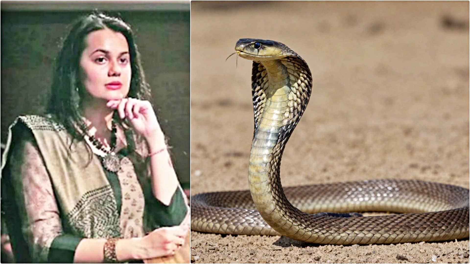 कलेक्टर टीना डाबी के आवास में कोबरा मिलने से हड़कंप