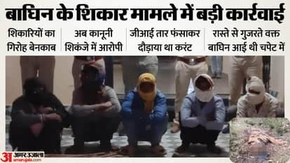 5 Poachers Arrested in Tiger Electrocution Case