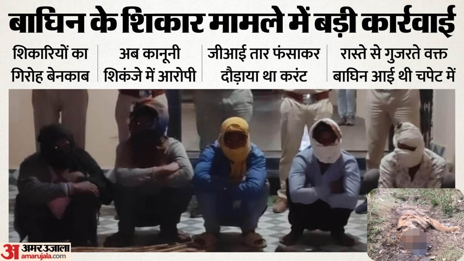 उमरिया में बाघिन के शिकार मामले में पांच आरोपी गिरफ्तार।