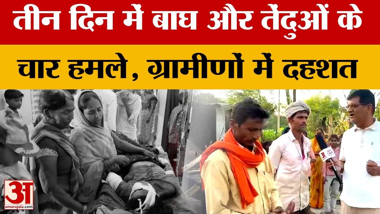 तीन दिन में चार हमलों से दहशत, तेंदुए की बढ़ती गतिविधियों बढ़ी परेशानी