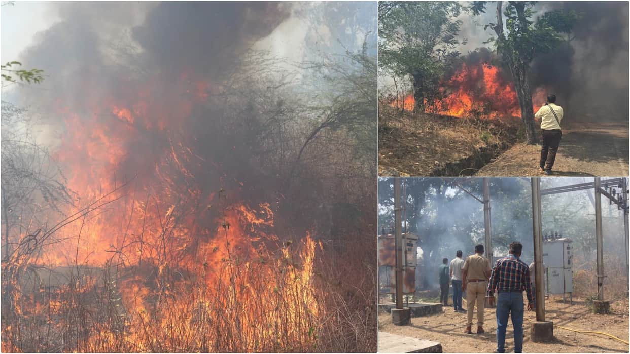 Forest Blazes for Hours in Banswara: Panic Ensues as Fierce Flames Reach Power Station Area How Did Fire Start