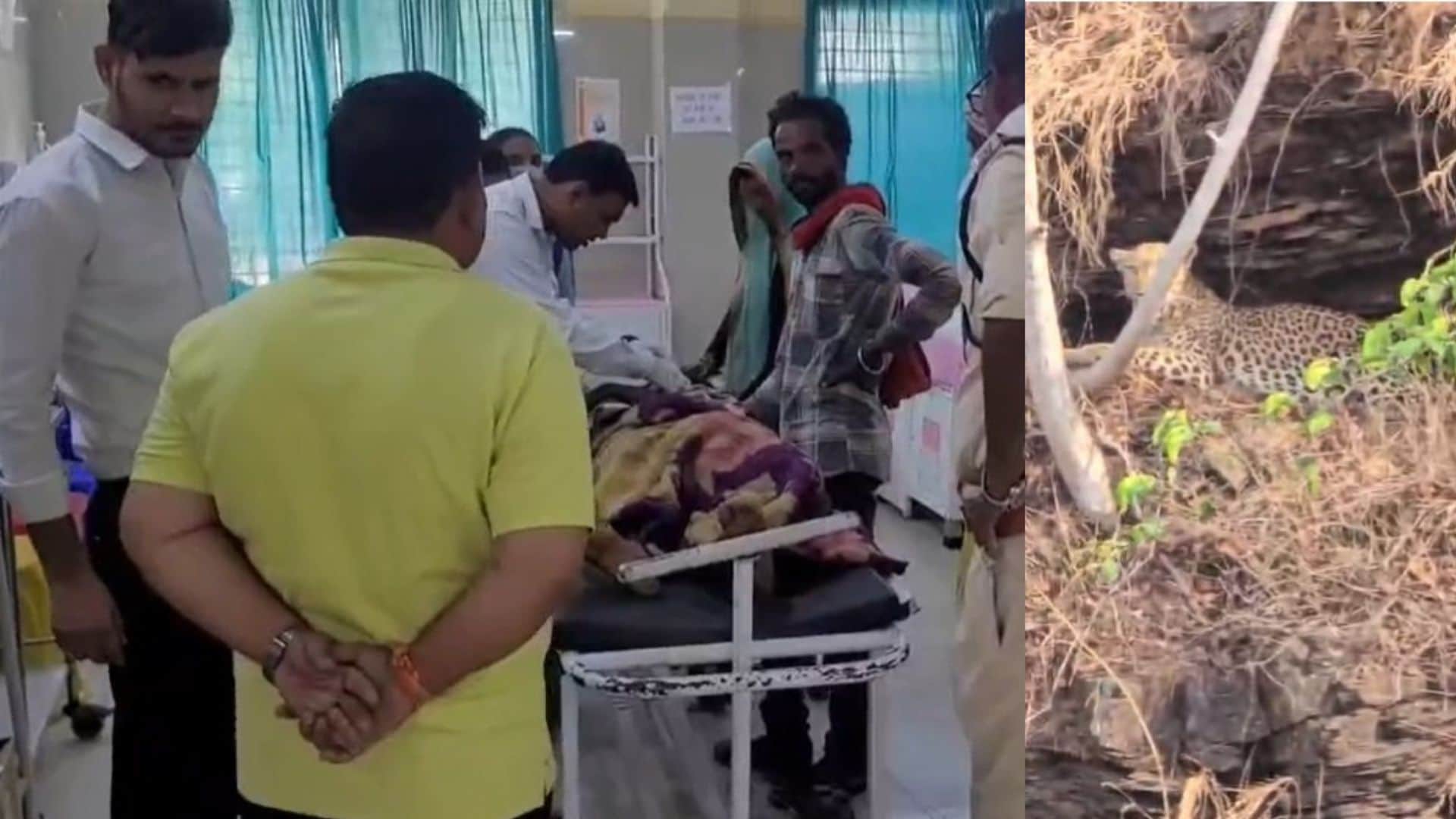 घायल बच्ची का इलाज करते डॉक्टर