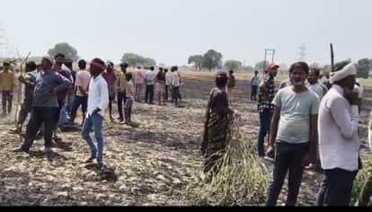 25 bigha wheat crop burnt after 11 kV line snapped