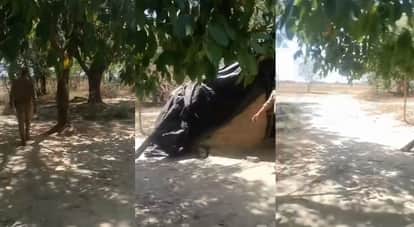 Kanpur School for Cyber Fraud Operating in Rathigaon for 10 Years Accused Are Experts at Voice Modulation