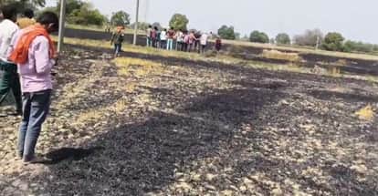 25 bigha wheat crop burnt after 11 kV line snapped