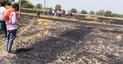 25 bigha wheat crop burnt after 11 kV line snapped