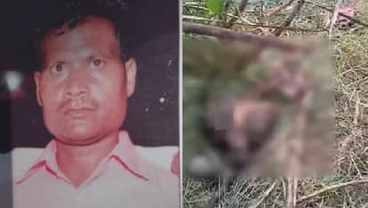 Kanpur Farmers skeleton found in field missing for eight days police say he was killed by a wild animal