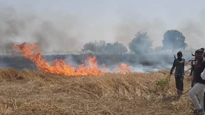 Auraiya Fire breaks out in wheat field due to unknown causes approximately 200 bighas of crops destroyed