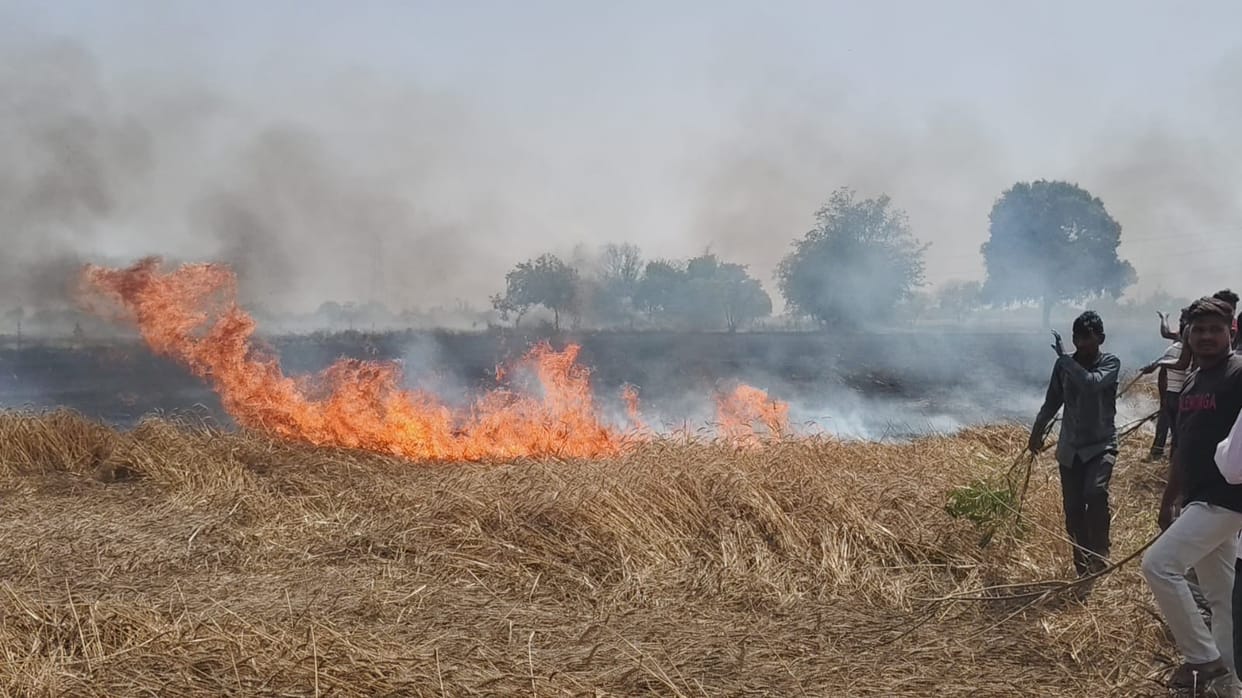 Auraiya Fire breaks out in wheat field due to unknown causes approximately 200 bighas of crops destroyed
