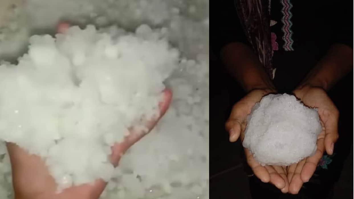 Hailstorm in four districts of Haryana; strong winds and light rain expected today as well