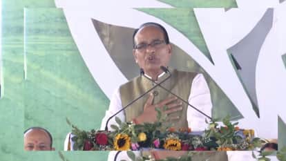 Agriculture roadmap for four districts released: Clean plant center to be built in MP, custom hiring center se