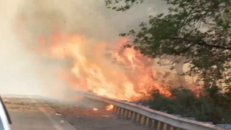 Fire breaks out in bushes near Rajghat Bus Depot six fire tenders deployed to bring it under control in Delhi