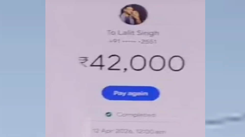 ऑनलाइन पेमेंट का स्क्रीनशॉट