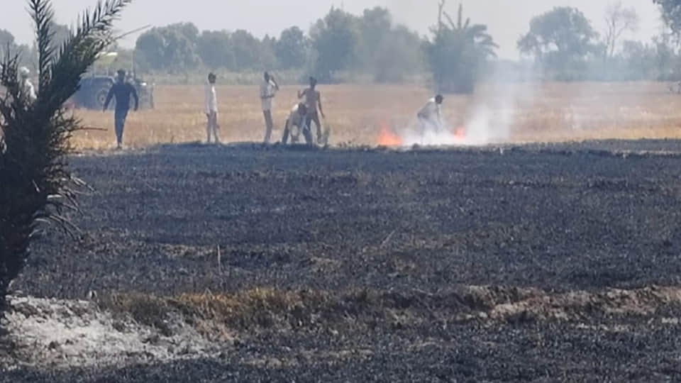 गेहूं कटे खेत में लगी आग