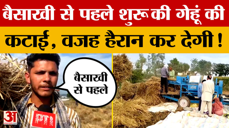 Jammu Kashmir: सांबा में बेमौसम बारिश से प्रभावित किसानों ने बैसाखी से पहले शुरू की गेहूं की कटाई | Samba