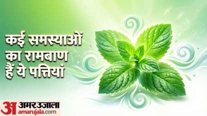पिपरमेंट खाने के फायदे