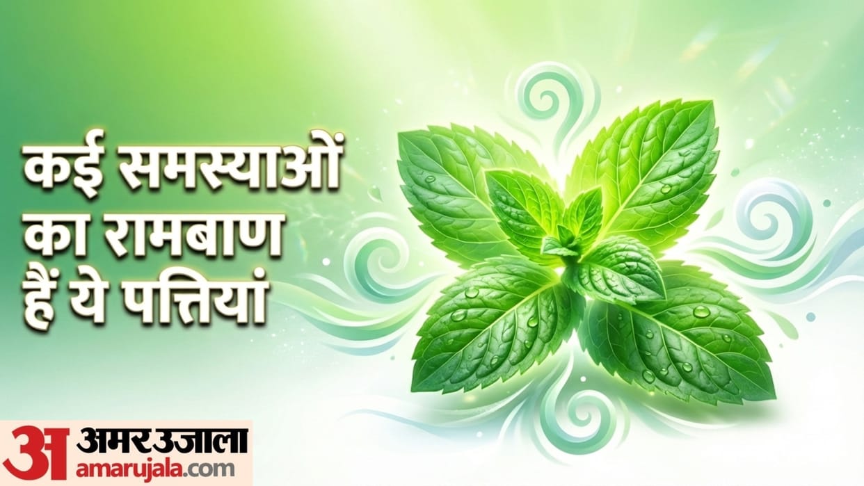 benefits of eating peppermint leaves for mouth and stomach disprj