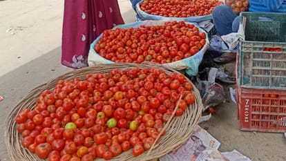 फुटकर की दुकान पर रखा टमाटर