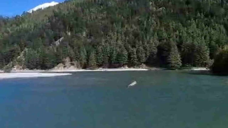 Uttarkashi: हर्षिल के समीप भागीरथी नदी में बनी झील का जलस्तर नौ माह बाद भी नहीं हुआ कम, बड़ी आपदा का खतरा