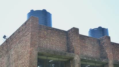 Gross Negligence in Chandigarh Three Monkeys Found Dead in Government School Water Tank