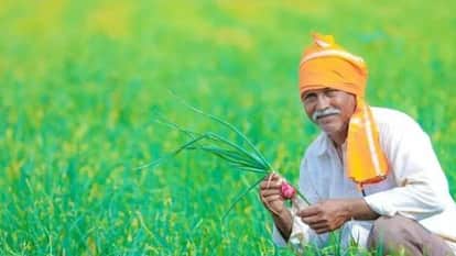 UP 1.698 Million Farmers in the State to Undergo Verification; Directive Issued to Upload Data to Portal by T