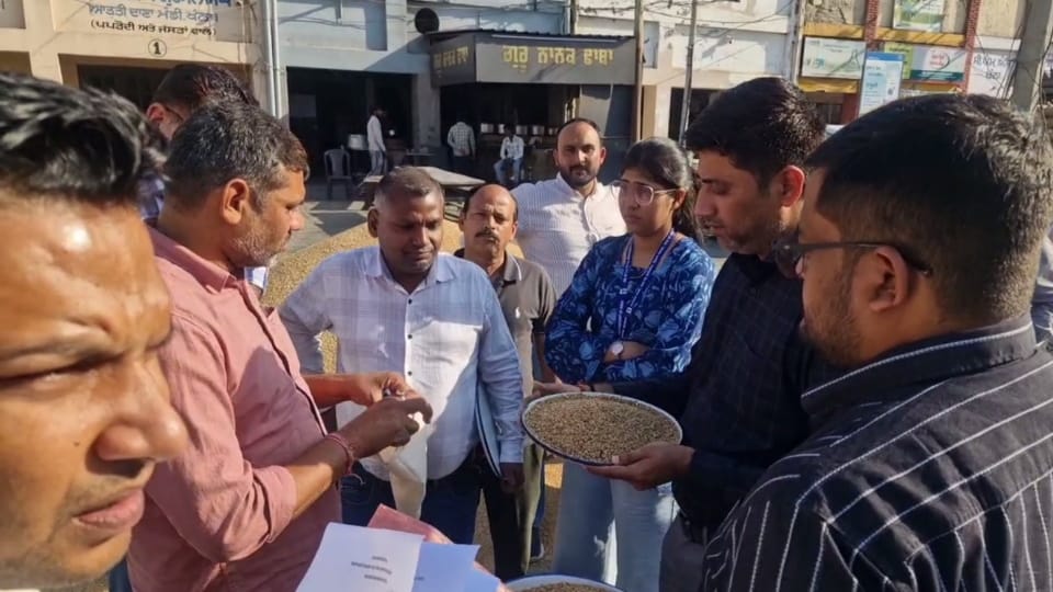Visit by central teams amidst wheat crop damage caused by rains in Punjab