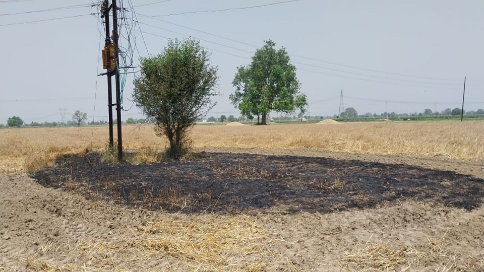 high tension line broke and fell into the wheat field