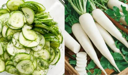Kanpur CSA Study The Crooked Cucumber in Your Salad Could Be Harmful Stay Wary of Sweet Radishes Too