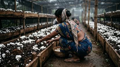 Uttar Pradesh Grameen Ajeevika Mission Self Help Group Village Women empowerment Yogi Adityanath news updates