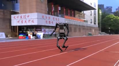 unitree h1 humanoid robot world record speed vs usain bolt