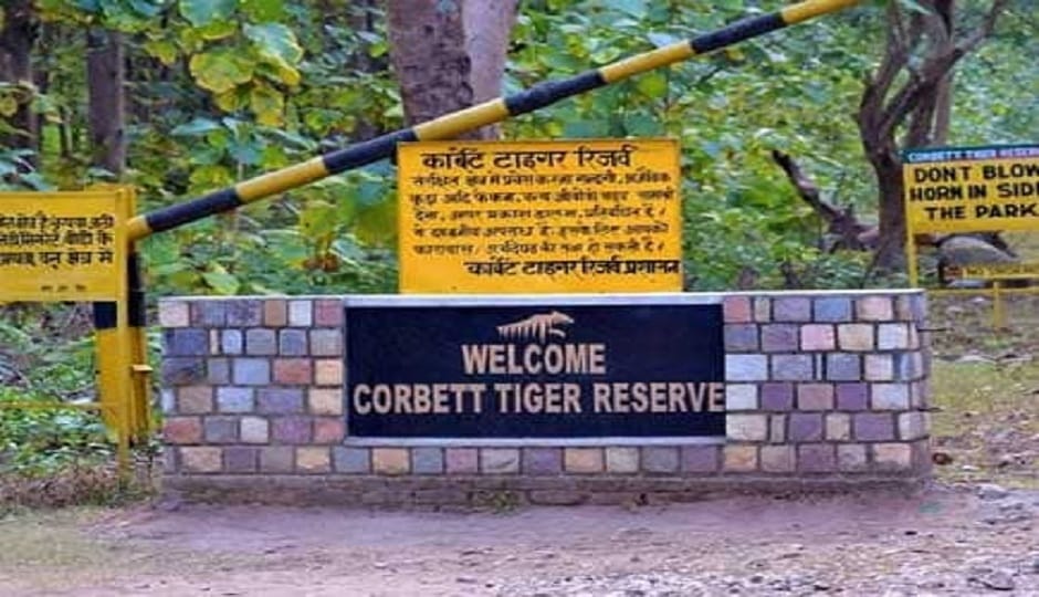 Tourists can see leopards up close in Corbett Tiger Reserve