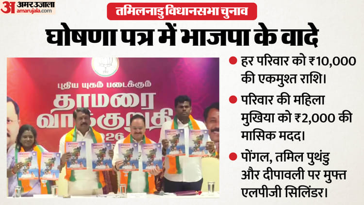 तमिलनाडु में BJP का महिलाओं पर बड़ा दांव: 2000 रुपये मासिक मदद से मुफ्त गैस सिलिंडर तक, घोषणापत्र में और क्या?