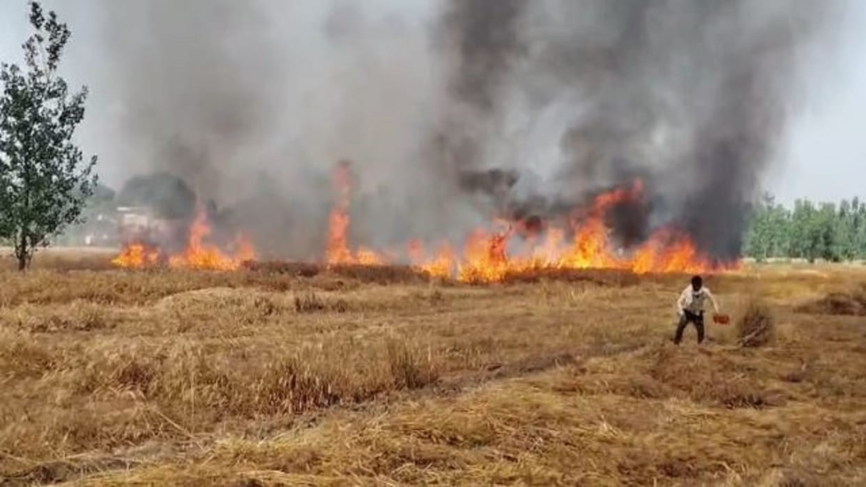 Fire breaks out in fields during harvest 16 bighas of wheat crop burnt in Pilibhit