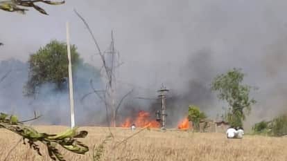 Massive fire broke out in fields of Sunam reducing six and half acres of wheat crop to ashes