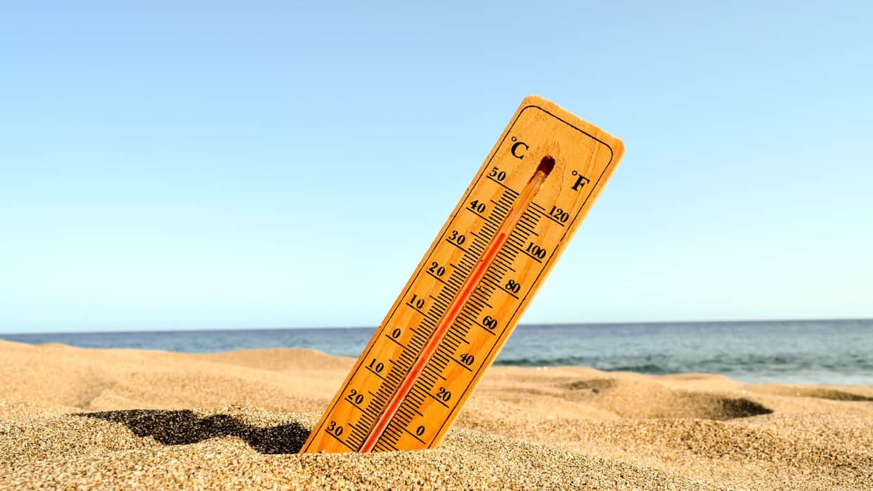 MP Weather Today: The heat reveals its true intensity in MP; mercury crosses 42 degrees, heatwave alert issued