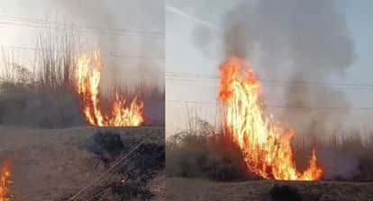 Massive Fire Erupts in Panch Pahadi Forest Near River Engulfed in Flames; Panic at Fair Site