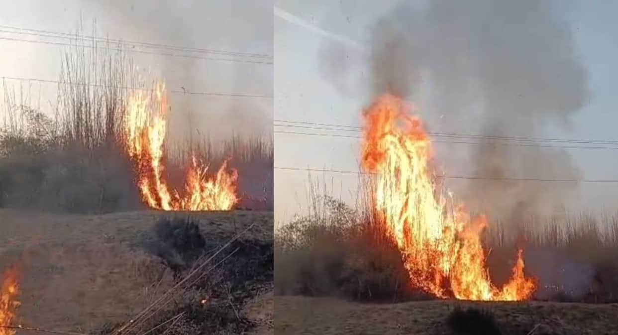 Massive Fire Erupts in Panch Pahadi Forest Near River Engulfed in Flames; Panic at Fair Site