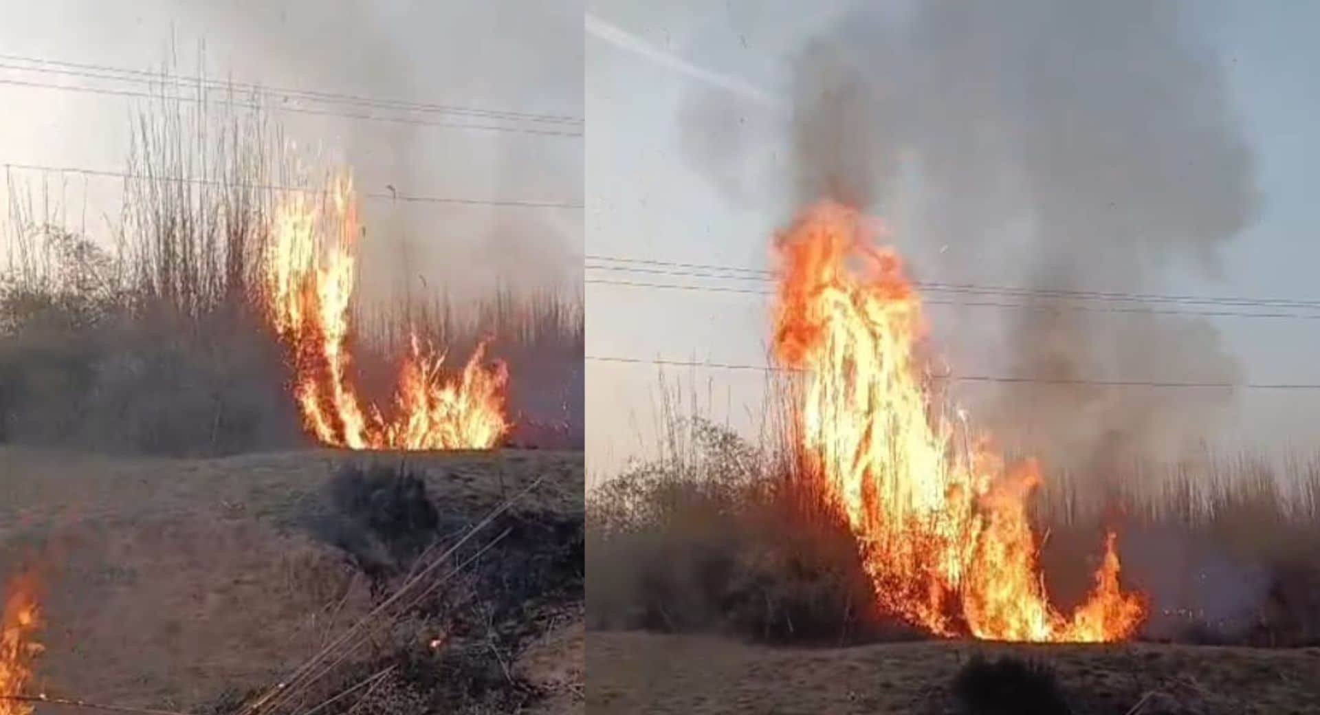 स्थित पंच पहाड़ी गांव के नदी किनारे अचानक भीषण आग लग गई