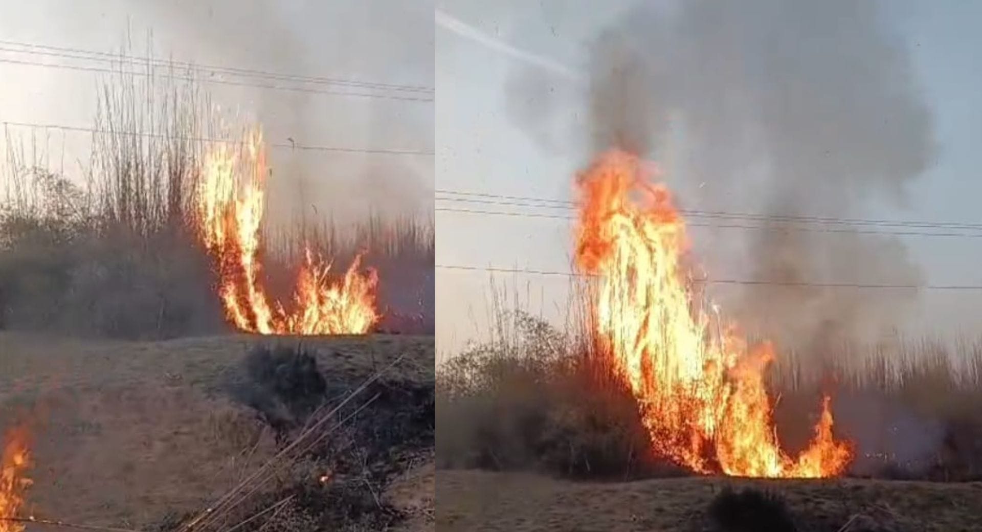 स्थित पंच पहाड़ी गांव के नदी किनारे अचानक भीषण आग लग गई