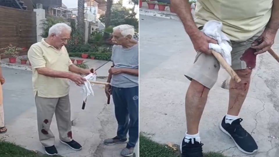 Meerut: 82-year-old retired colonel attacked with hammer in Meerut, witness in multi-crore scam cases