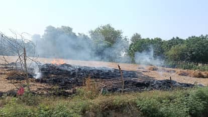 Wheat crop destroyed in fire farmer suffers heavy loss in Agra