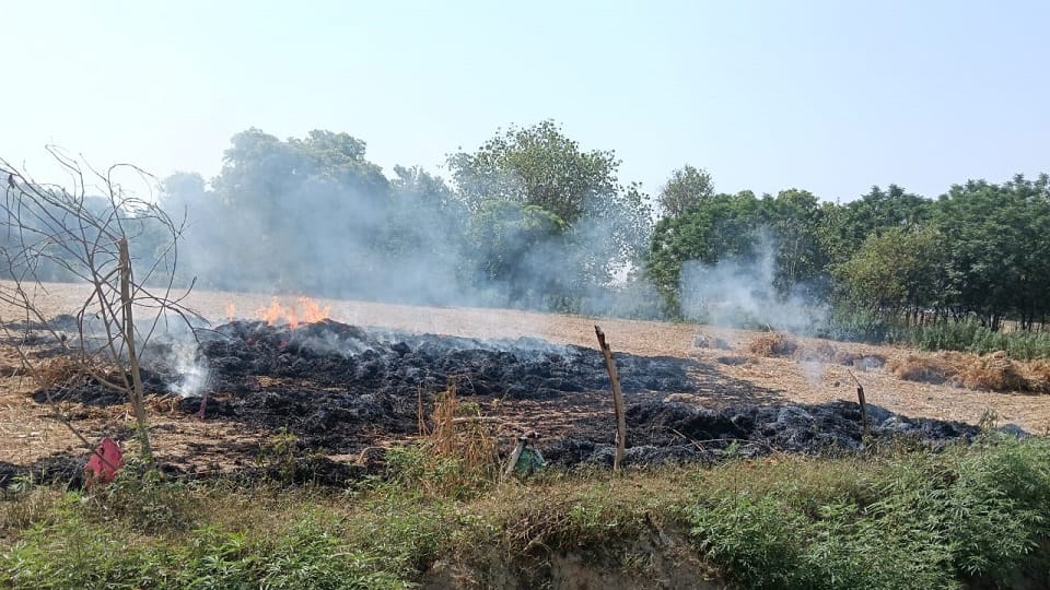 Wheat crop destroyed in fire farmer suffers heavy loss in Agra