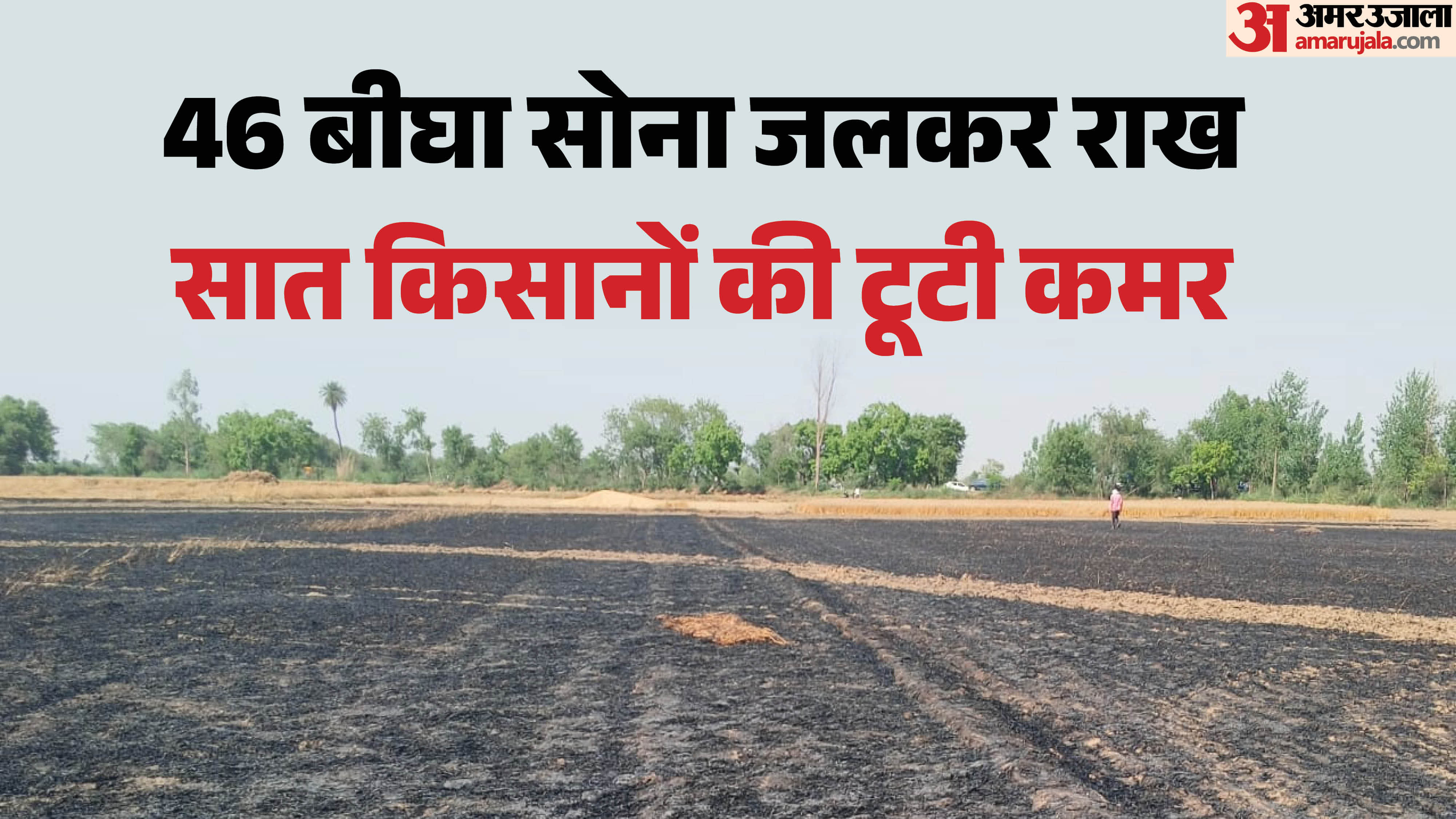 Crops planted across 46 bighas of farmland destroyed by fire in Kapna village Jahangirpur