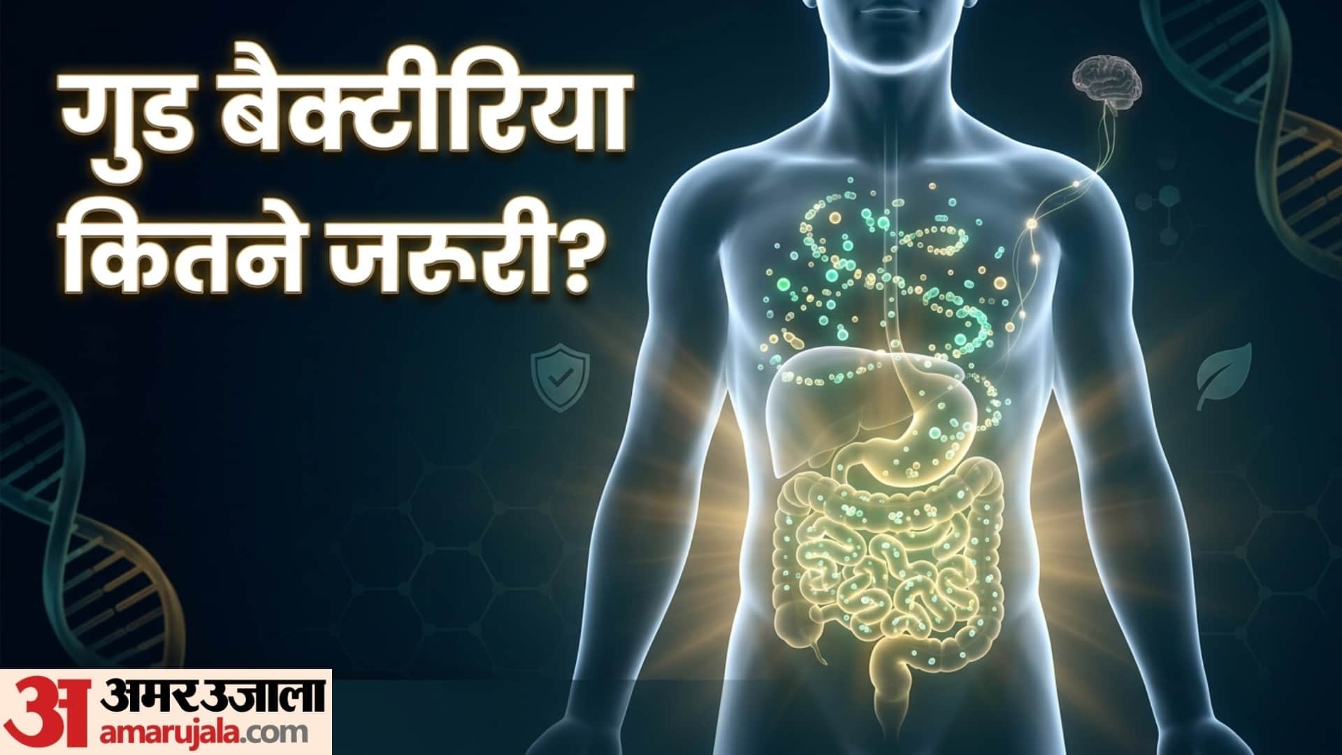 importance of good bacteria in the body know the full details in hindi