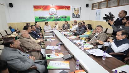 Himachal Congress: Committees will be formed for the selection of candidates in the Panchayat and Municipal el