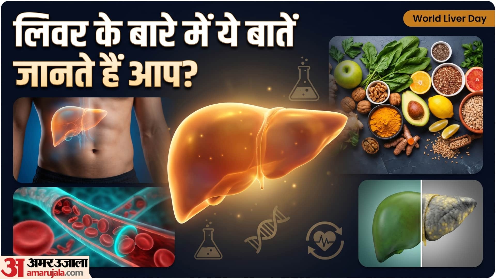 world liver day 2026 know liver work and liver problems why liver disease increasing and how to prevent