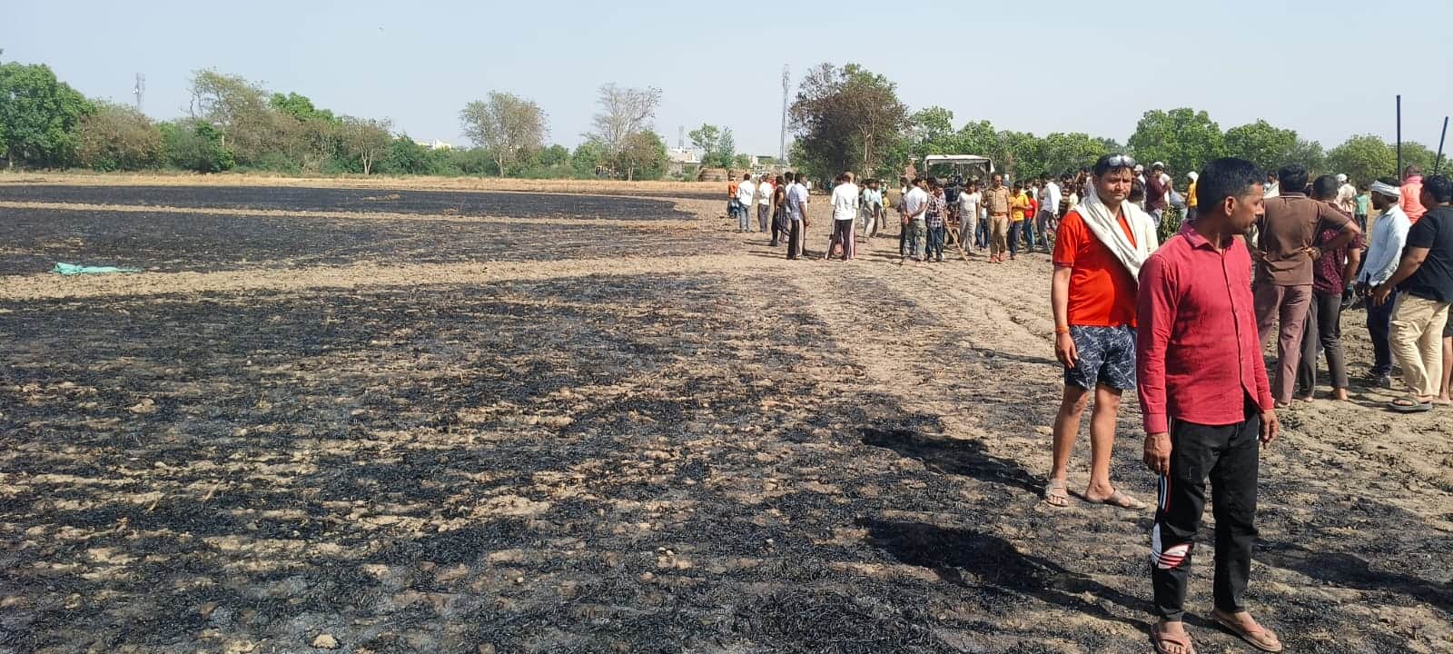 Crops planted across 46 bighas of farmland destroyed by fire in Kapna village Jahangirpur