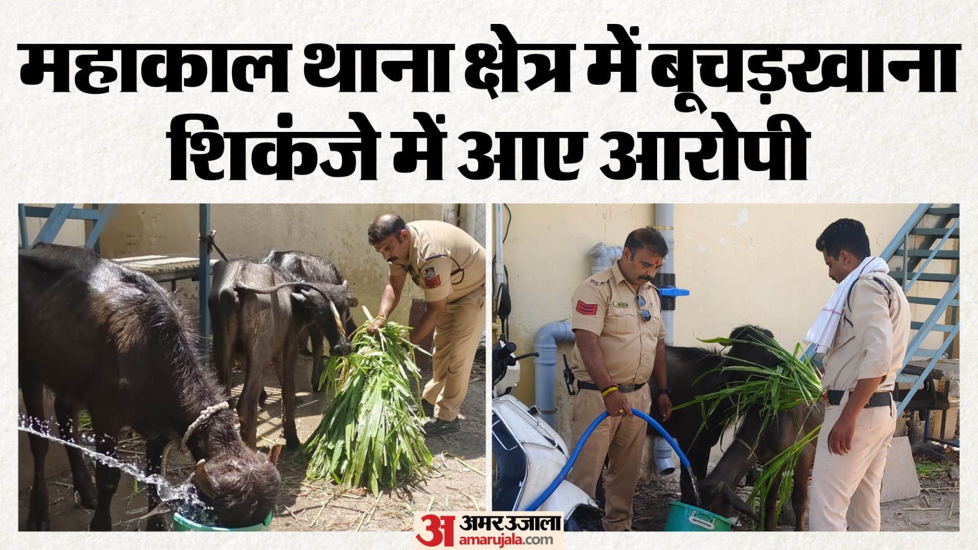 पुलिस ने बूचड़खाने पर दी दबिश, दो गिरफ्तार