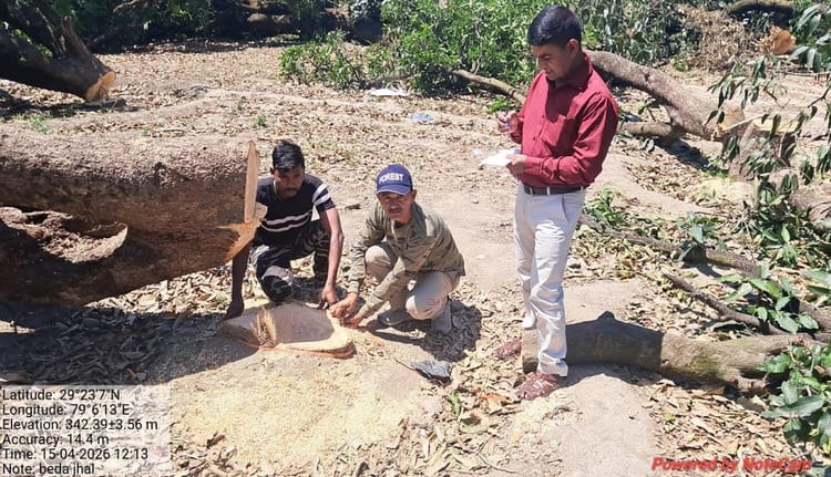 Ramnagar: कॉलोनी बनाने के लिए 12 बीघा बगीचे में 60 पेड़ों पर चला दी आरी, बगीचा स्वामी के खिलाफ FIR दर्ज